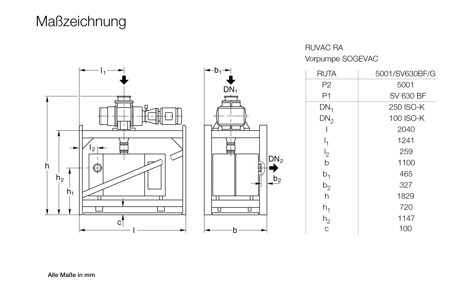 RUTA RA 5001-SV630BF-G.1.gif